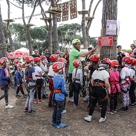 arrampicata su alberi roma
